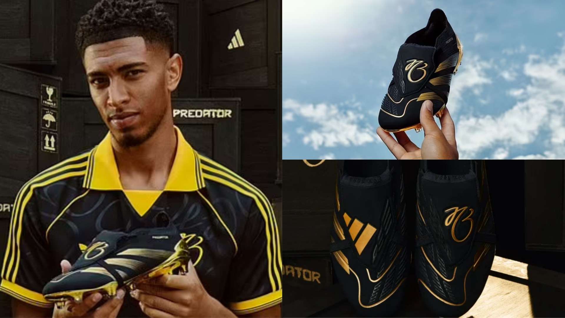 大胆且富有 大胆且富有