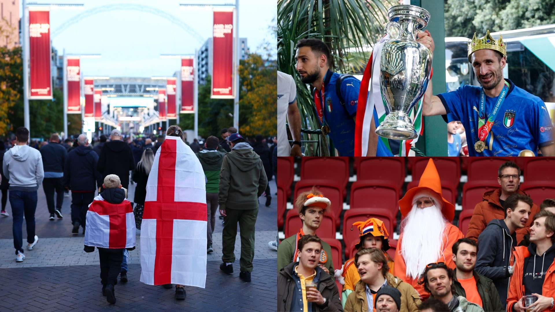 发展潜力的 发展潜力的